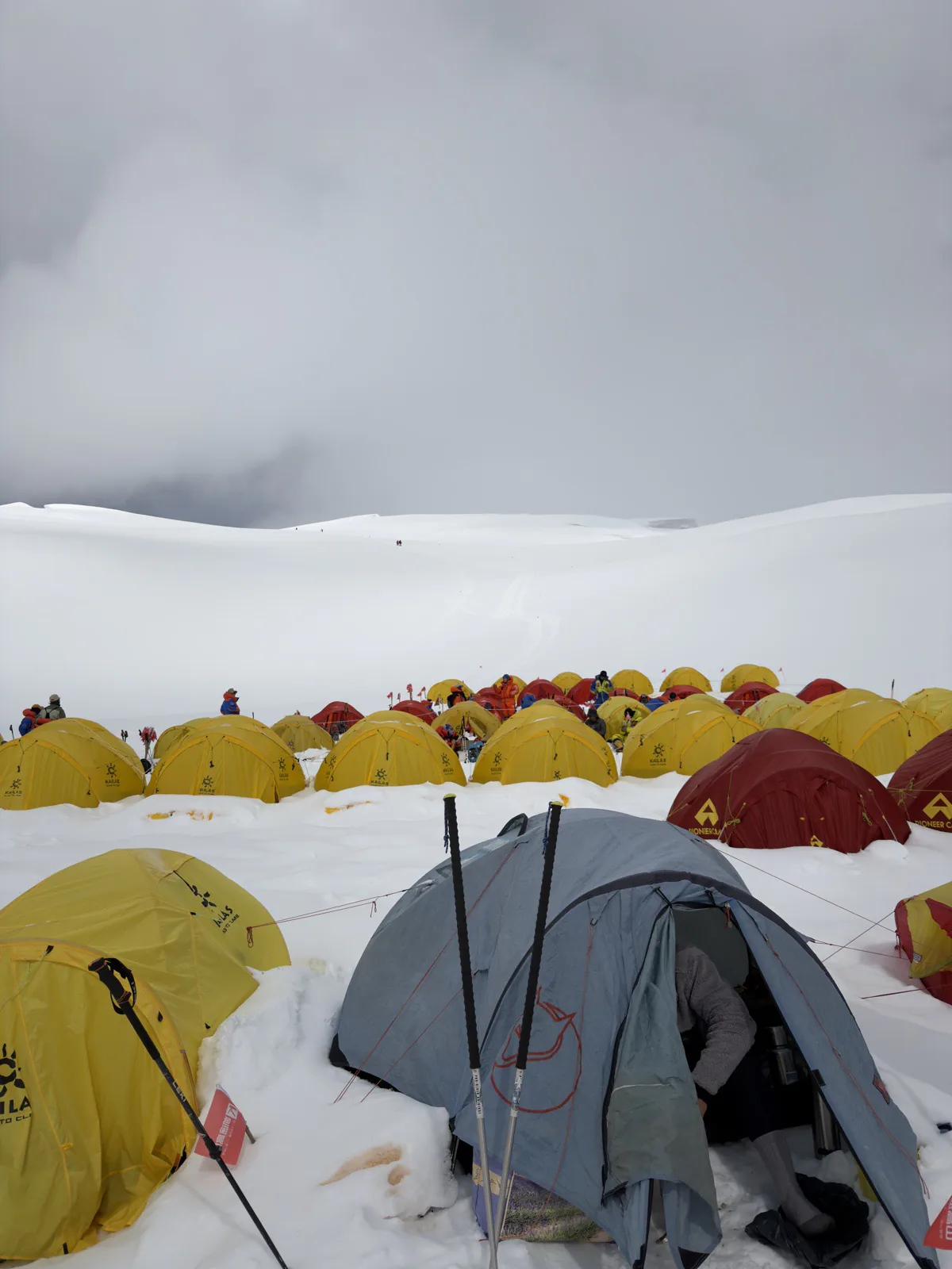 A dense field of yellow and red expedition tents beneath low grey cloud on the mountain.