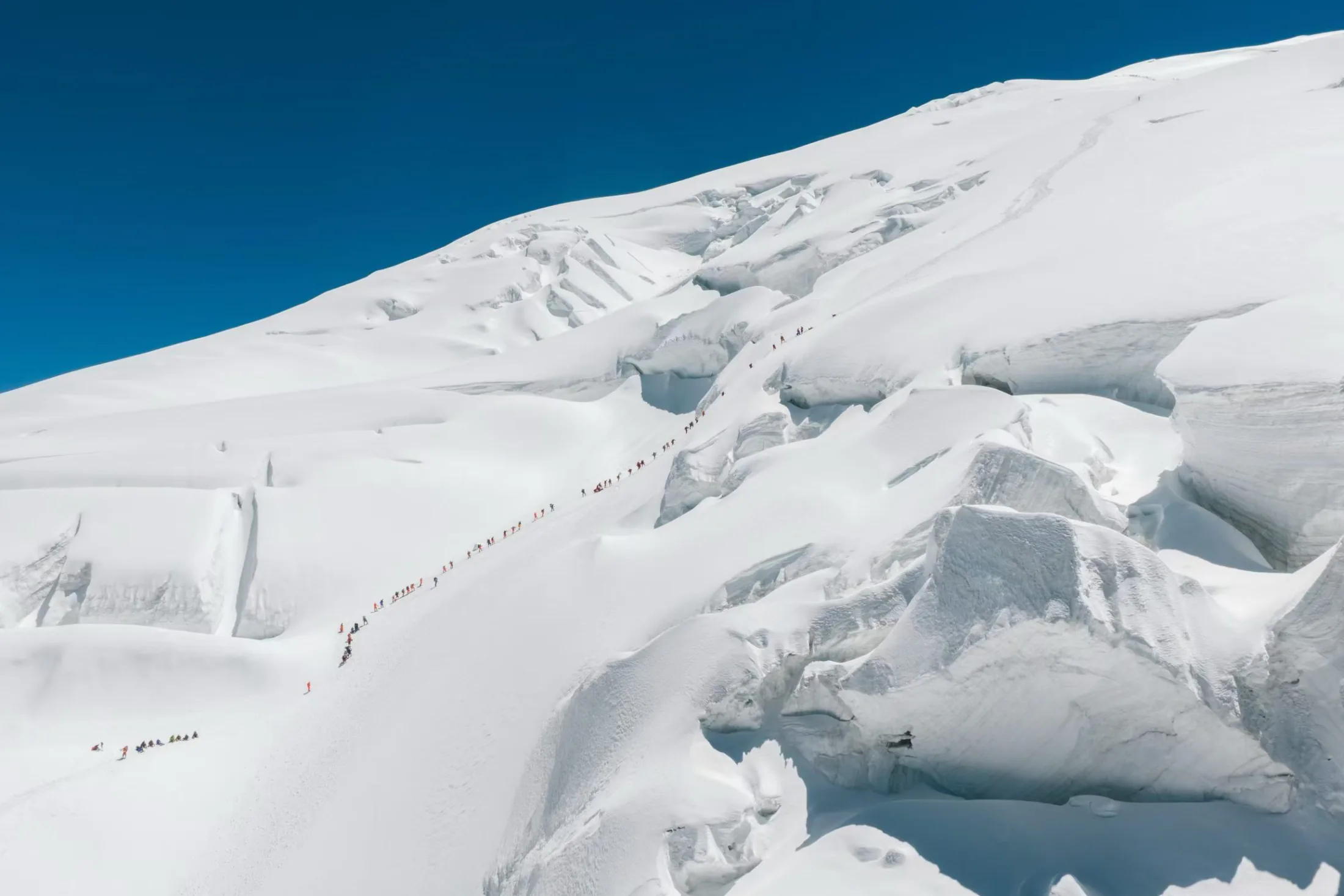 A long line of climbers ascending through a heavily crevassed snowfield under a deep blue sky.