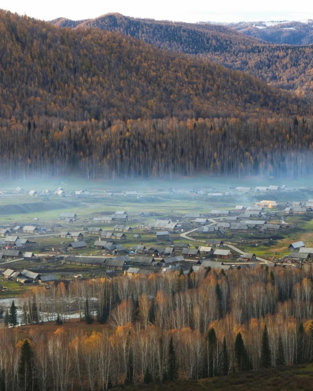 Layers of wooden houses, fields, morning mist and autumn woodland in Hemu Village.