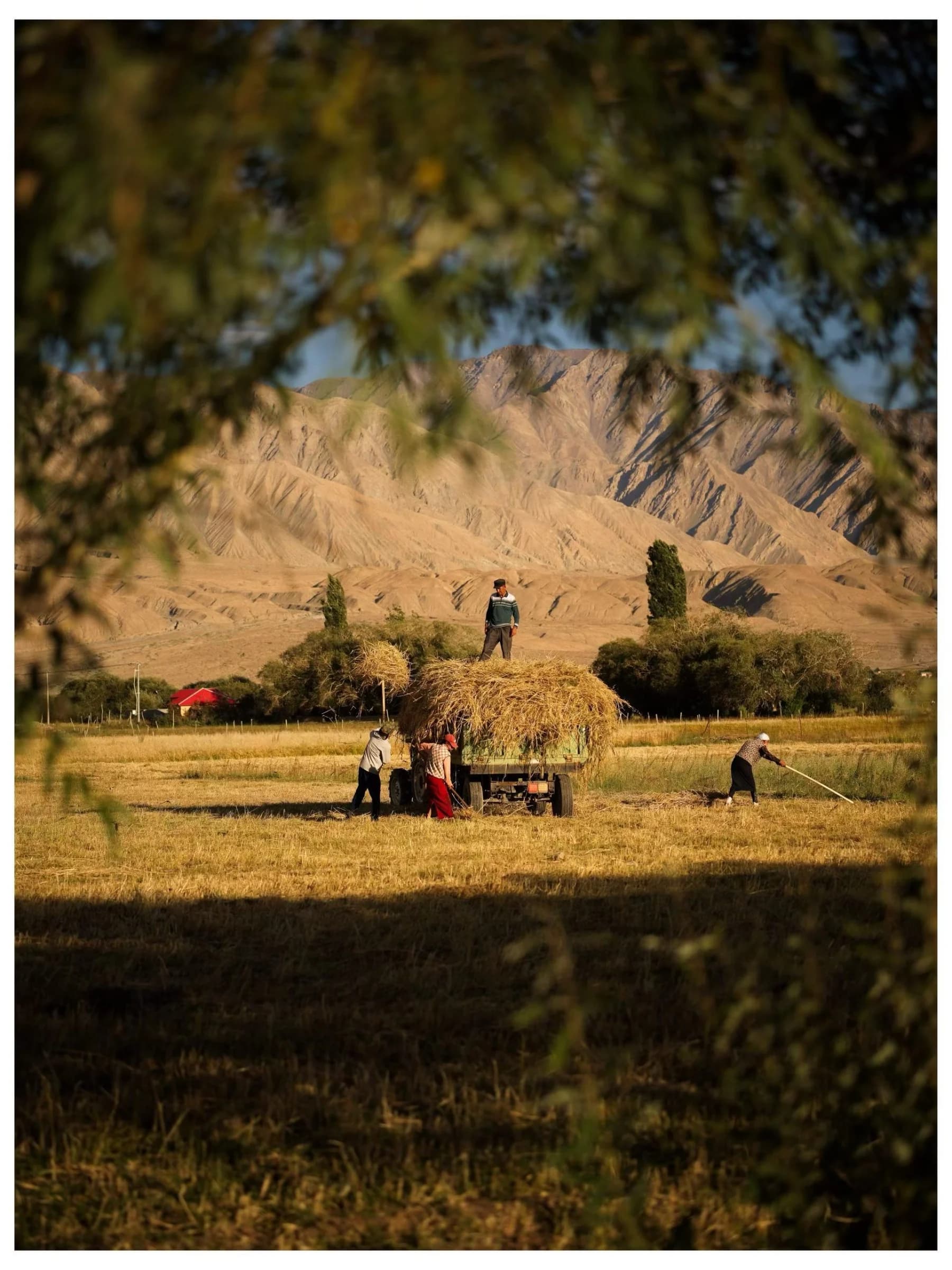 Pamir Plateau — travel photograph 7