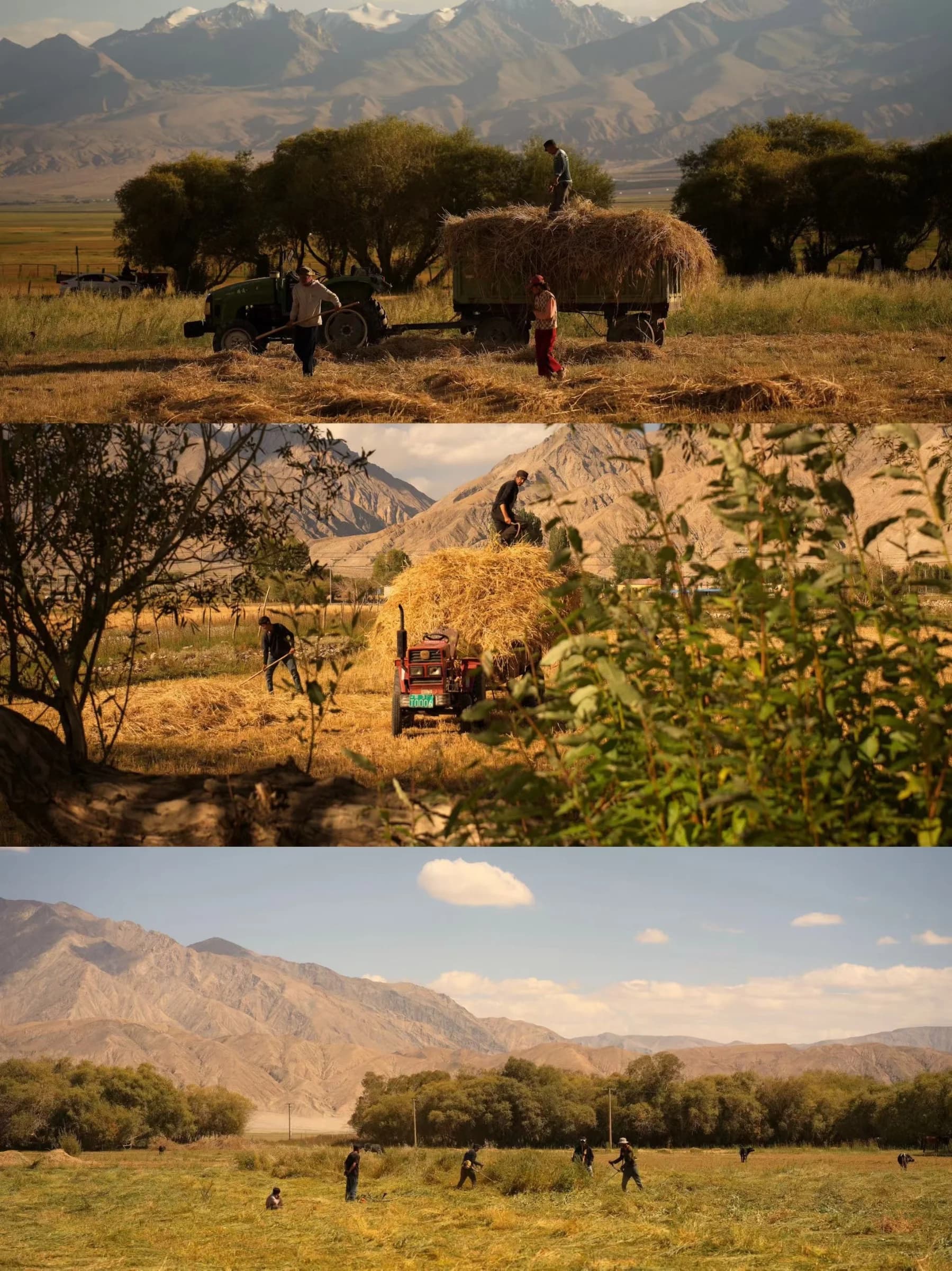 Pamir Plateau — travel photograph 1