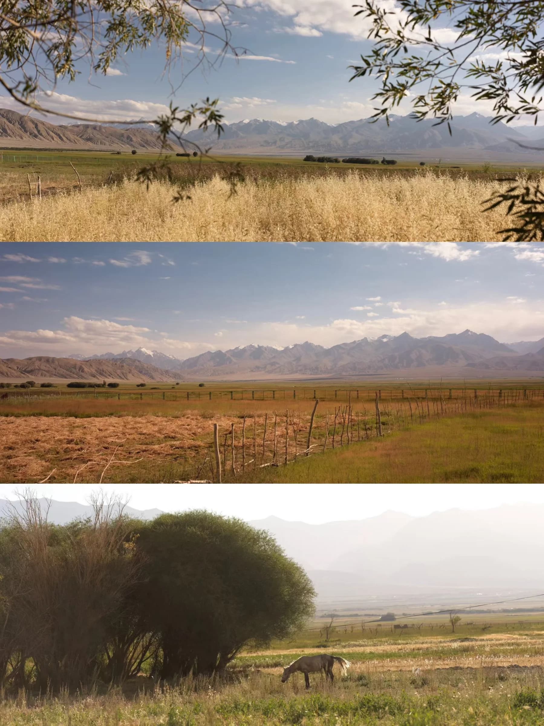 Pamir Plateau — travel photograph 8