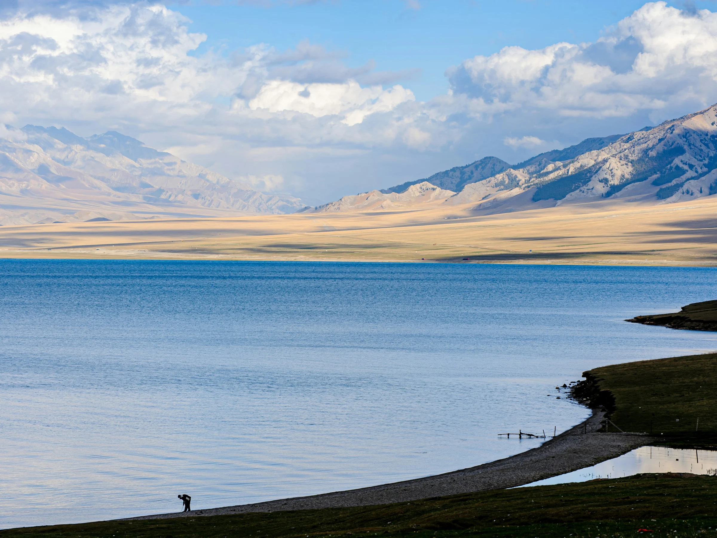 A curving shore beside Sayram Lake with open grassland and mountains on the far side.
